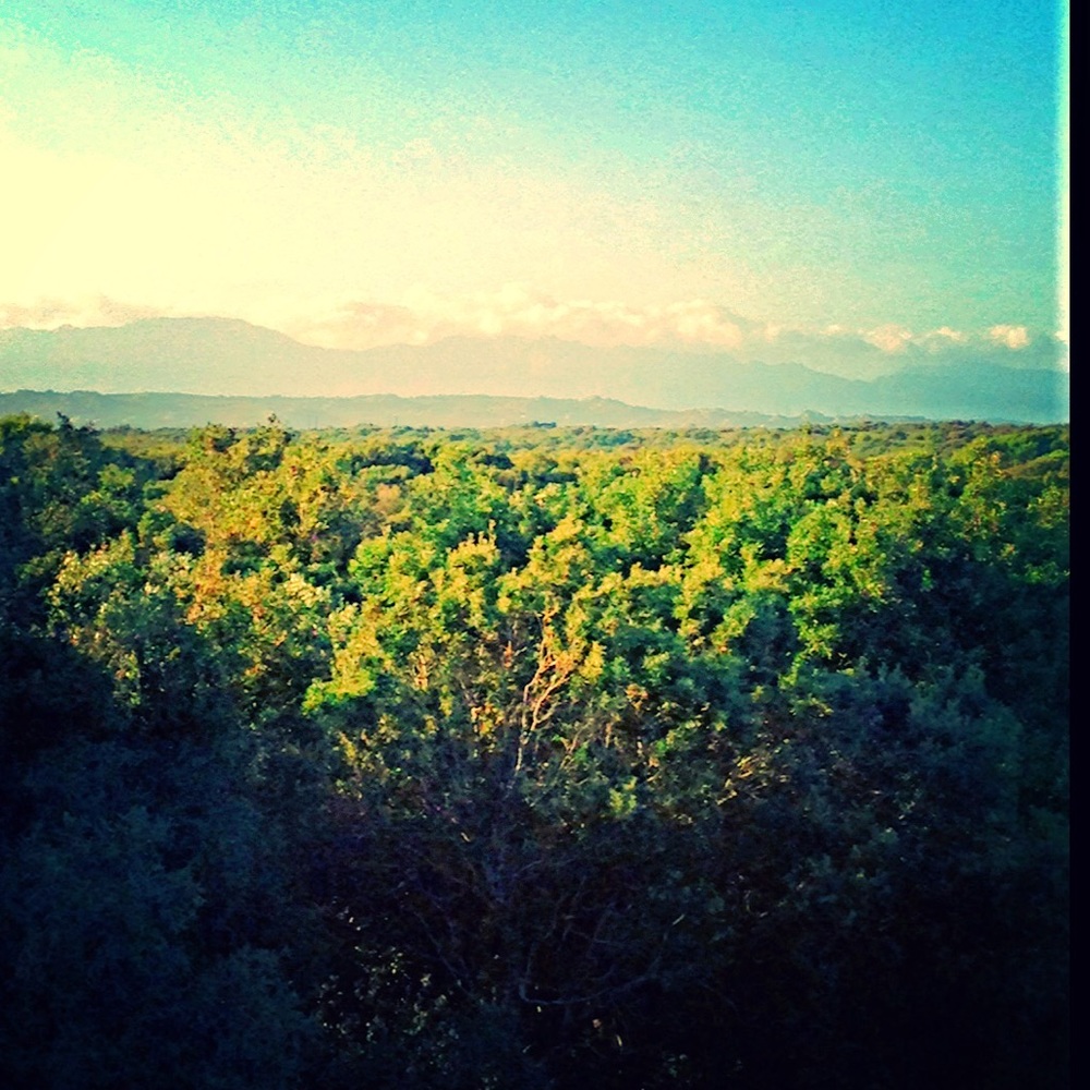 Meet your Posher, Caitlin